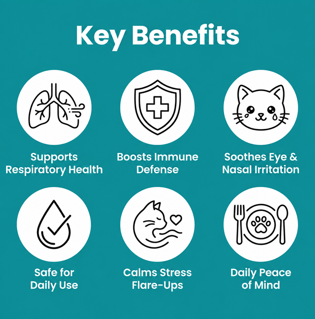 KittyCare L-Lysine