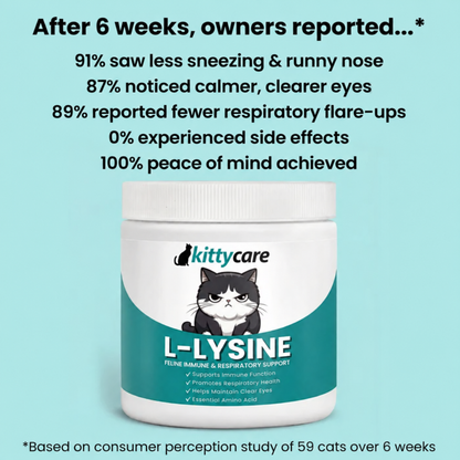 KittyCare L-Lysine