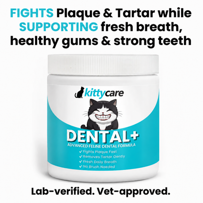 KittyCare Dental+ Powder