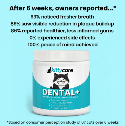 KittyCare Dental+ Powder